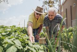 Two senior friends helping each other in the garden