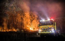 Fire truck and bushland alight at night