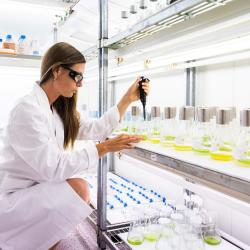 C3 algae culture room
