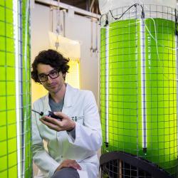 Algae production facilities