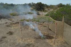 Colour photo of Ngarlung reburial ceremony
