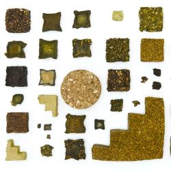 Artistic shapes made from algal technologies