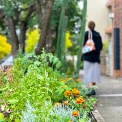 Garden box in urban street