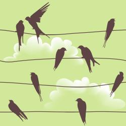 Birds on Wire_CMT News