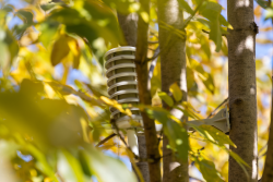 Installation of weather sensor