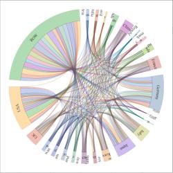 Graphic visualisation of the complexity of ripple effects