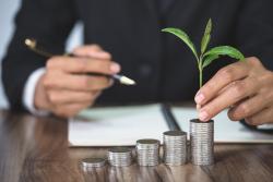 Coins stacked with plant growing from the tallest stack