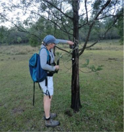 Camera trap. Image: Dr Andrea Harvey