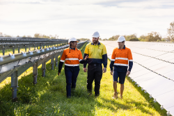 Three renewable energy workers walking through a solar panel field.