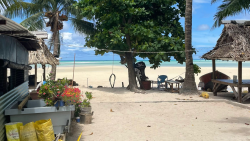 Sandy beach with palm trees and huts in the Pacific.