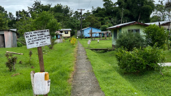 Dirt track leading into a third world village.