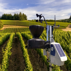 Photo of a Yield sensor in a vineyard