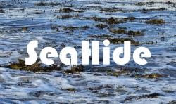 SeaHide in white text over a photo of an ocean with seaweed in it