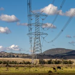 Transgrid