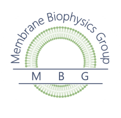 MBG - Membrane Biophysics Group 