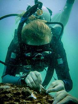 Madeline Hamilton Combe scuba diving