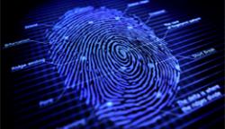 A digital scan of a fingerprint with datapoints
