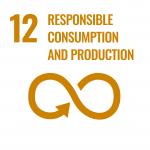 SDG 12 logo