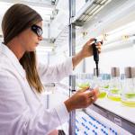 Algae culture room