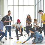 Young professionals in a card sort workshop