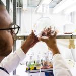 Scientist holding beaker containing seaweed